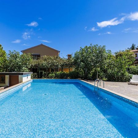 Holiday Home Edi - Roj433 By Interhome Zminj Exterior photo